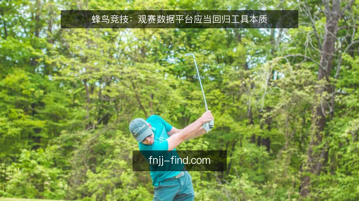 蜂鸟竞技：观赛数据平台应当回归工具本质