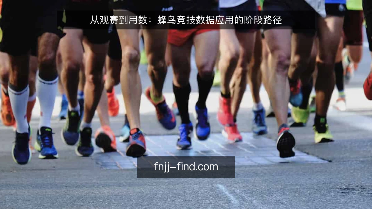 从观赛到用数：蜂鸟竞技数据应用的阶段路径