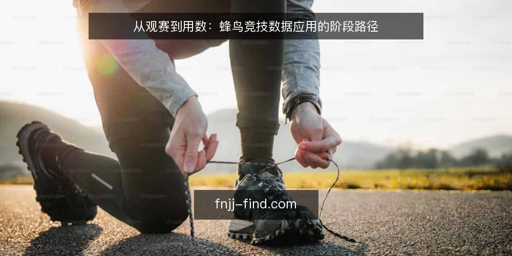 从观赛到用数:蜂鸟竞技数据应用的阶段路径 — 起点:观赛需求与数据入口 配图