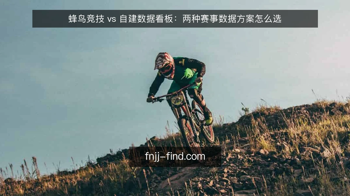 蜂鸟竞技 vs 自建数据看板：两种赛事数据方案怎么选