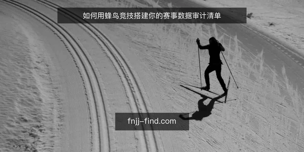 如何用蜂鸟竞技搭建你的赛事数据审计清单 — 为什么要做赛事数据审计 配图