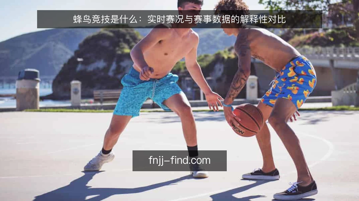 蜂鸟竞技是什么：实时赛况与赛事数据的解释性对比