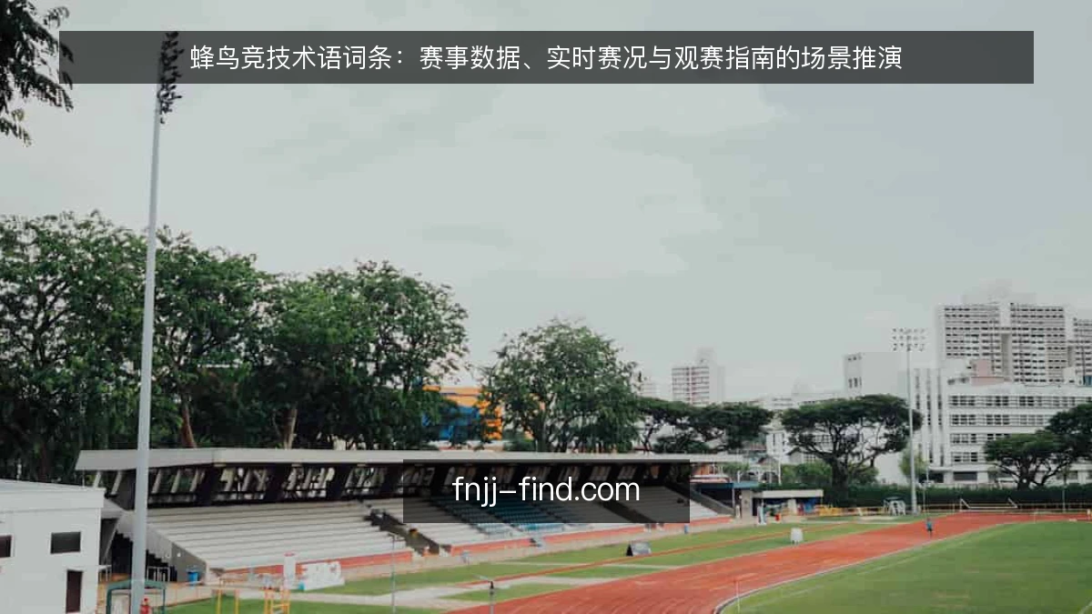 蜂鸟竞技术语词条：赛事数据、实时赛况与观赛指南的场景推演