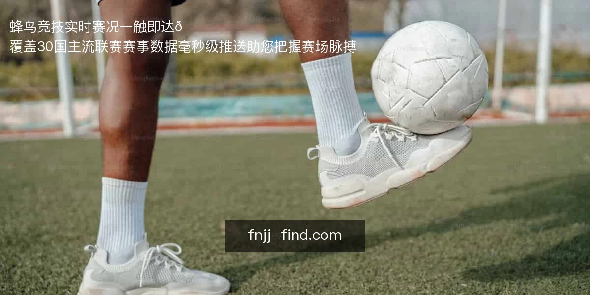 蜂鸟竞技